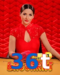 36t