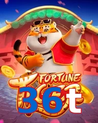 36t